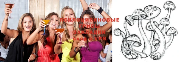 гидра Армянск