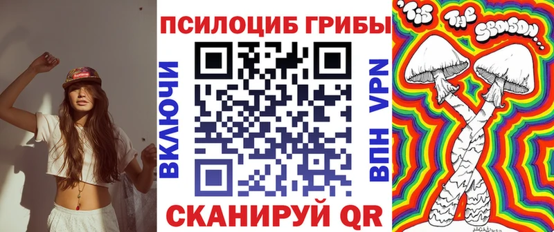 Галлюциногенные грибы Psilocybe  Петропавловск-Камчатский 